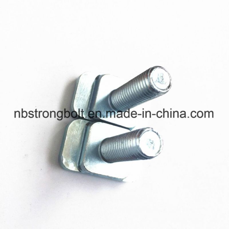 Square Head Bolt Screw Customization/Custmized Bolt