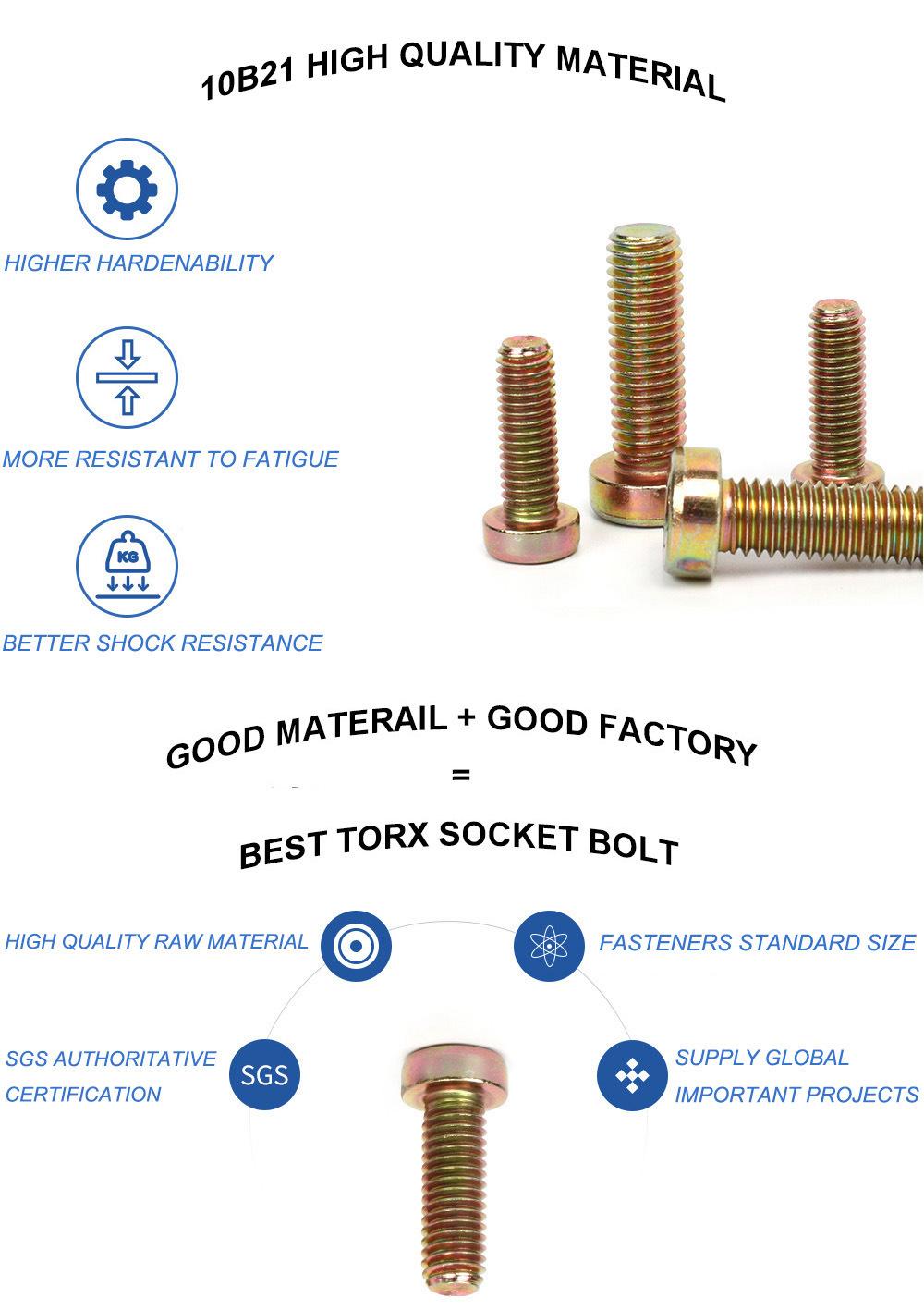 M6 M8 M10 Alloy Steel 8.8 Galvanized Cup Head Bolt with Torx Socket High Strength Fastener Torx Socket Bolt with Button Head