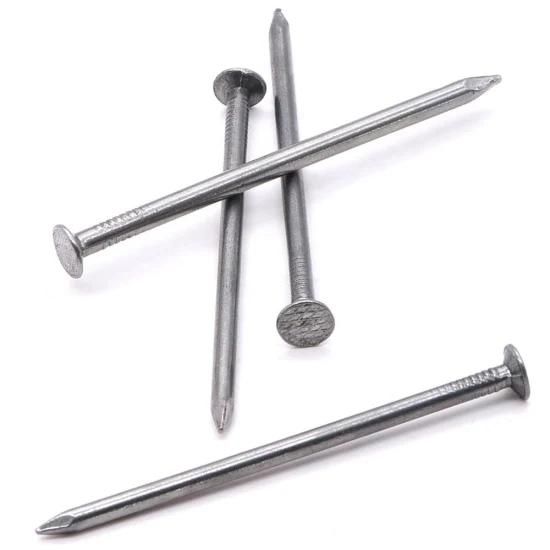 Common Iron Nail / Steel Nail/Iron Nail/Polished Common Nail/Iron Wire Nail