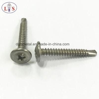 Stainless Steel Screws with High Quality