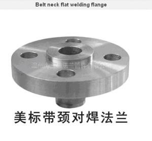 Stainless Steel Forged Flanges and 304 316 316L (DN15~DN600)