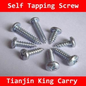 Self Tapping Screw (SW004)
