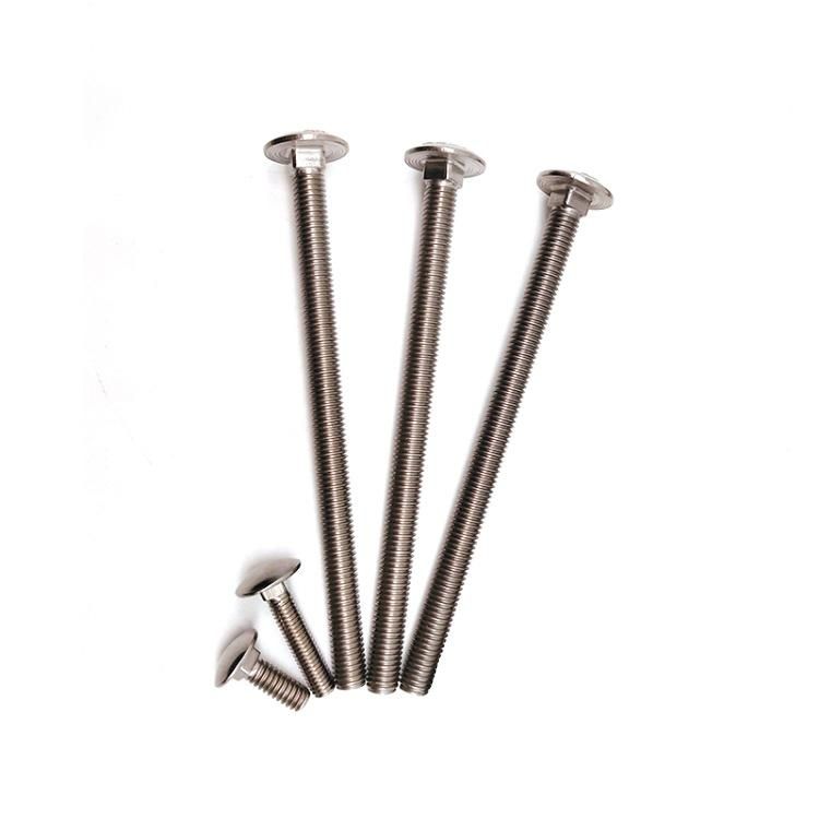 DIN603 Ss304 Ss316 Mushroom Head Square Neck Carriage Bolt
