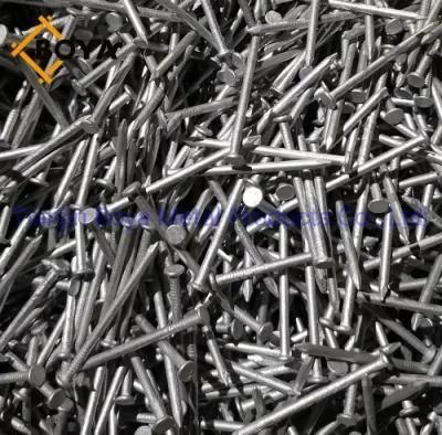 Q195 Common Nail/Building Nail/Iron Wire Nail/Construction Nail/Iron Nail/Steel Nail/Nail