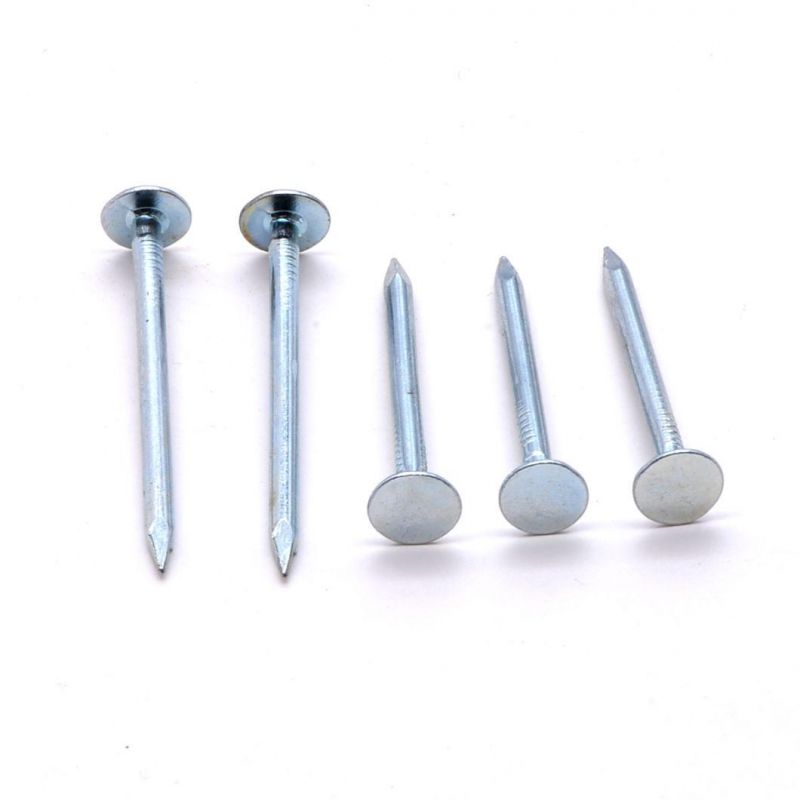 High Quality Galvanized Large Flat Head Iron Wire Nails Roofing Ceiling Nails Clout Cupper Nails