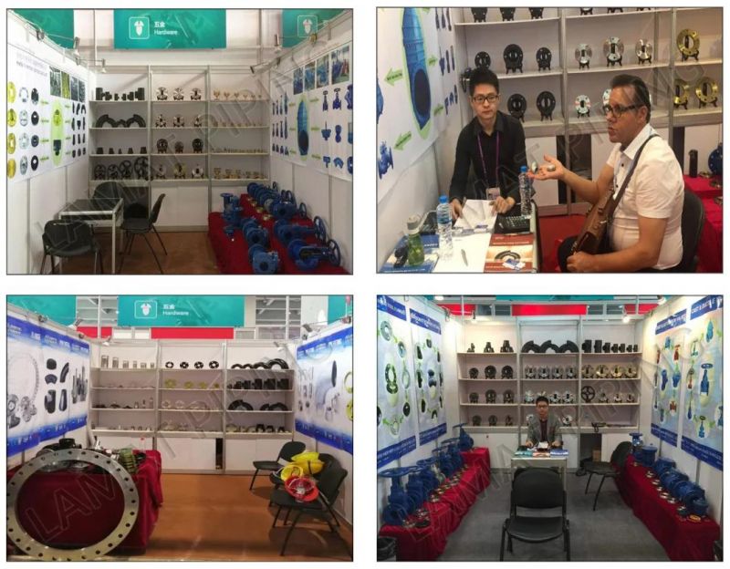 China Factory High Quality Galvanised/Electroplated Zinc-Plated Steel Screwed/Threaded Flange