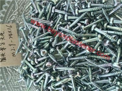 Screw /Self Tapping Screw /Pozi Screw Bolts/Self Drilling Screw