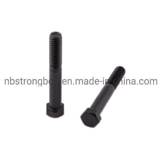SAE J 429 Hex Head Cap Screw with Black From China