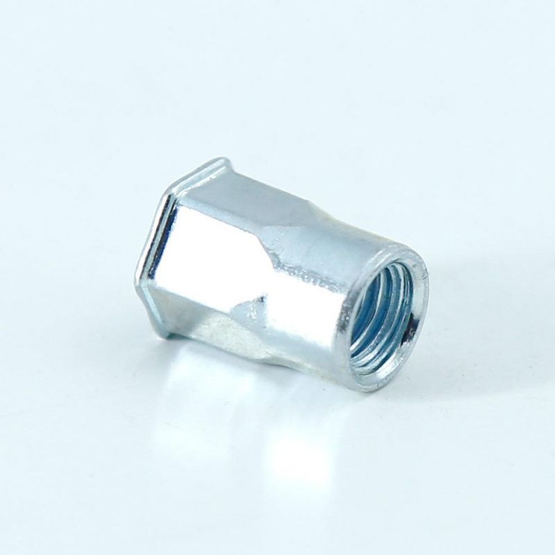 China Factory OEM ODM Fastener Customized Flat Head Hexagon Round Hex Through Hole Brass Stainless Steel Blind Rivet Nut