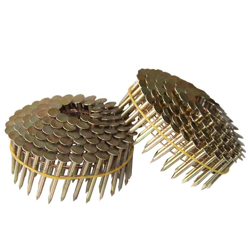 High Quality Gi Clout Nail Roofing Nail of Guangzhou Supplier