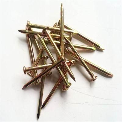 Hardened Special Concrete Nail Steel Nail/Color Plated Concrete Nail