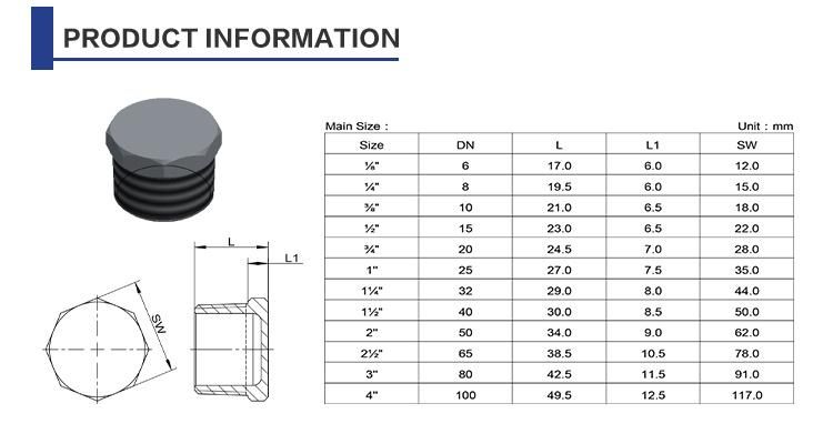 Ss Stainless Steel Male Hex Drain Plug Manufacture