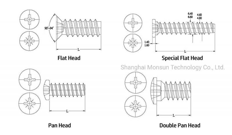 Csk Head Pozidriv Zinc Plated Blum Screw for Nylon Expansion Dowels