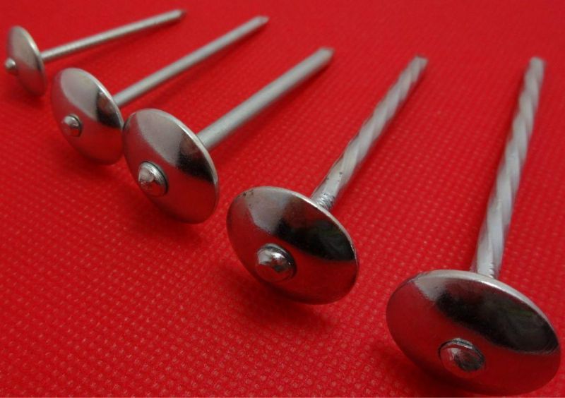 Galvanized/ Umbrella Twist Smooth Shank Roofing/Lron/Finish /Tapping Screw /Wire/Boat /Nails