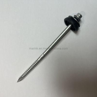 China High Quality Hardware Point Top Fix C/W Baz Washer Screw