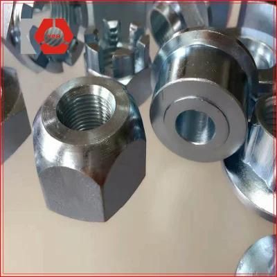 Round Special Nut of Zinc Plain Carbon Steel Precise