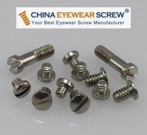 Optical Eyewire and Hinge Screw (CES005)