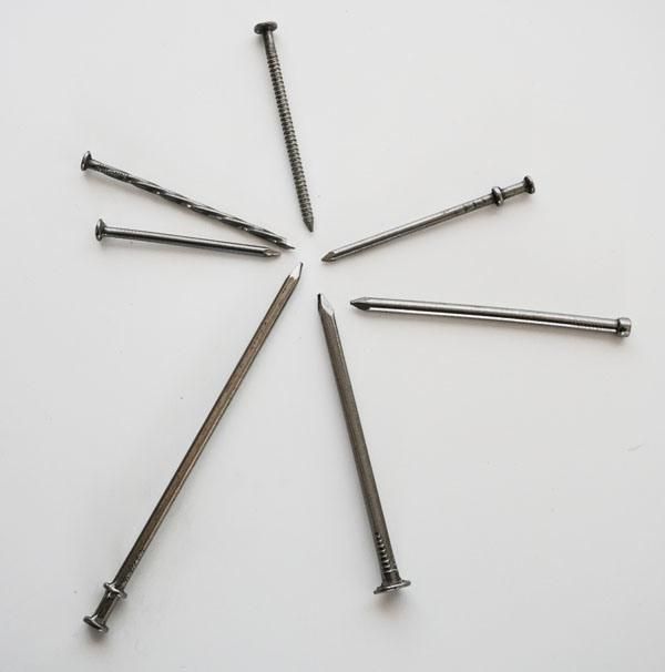 Polished/Electric Galvanized/Hot DIP Galvanized Common Nail