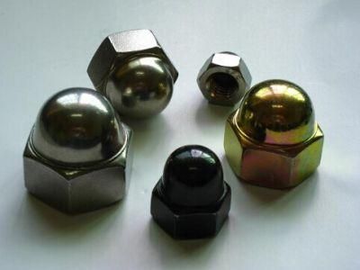 Factory Supply DIN 985 Nylon Insert Lock Nut/Hex Cap Nut /Hex Nut /Spring Nut with Good Price