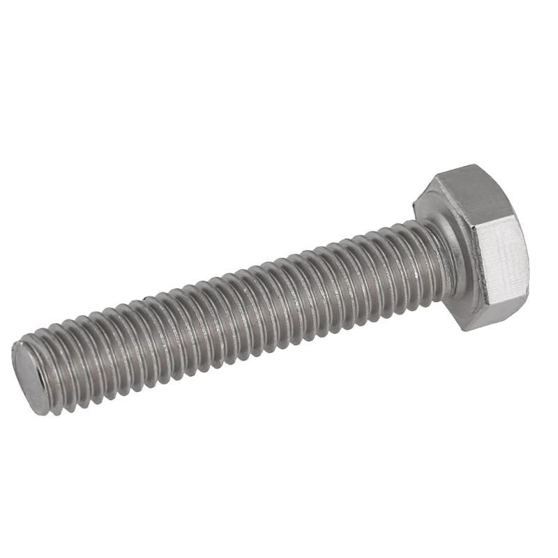 Ss DIN933 Hexagon Head Bolt with Full Threaded, Hex Bolt