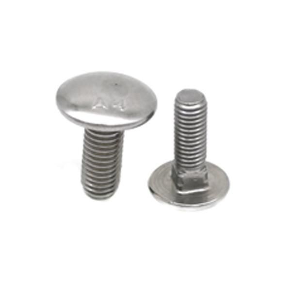 Customized Flat Head Square Neck Bolts/Carriage Bolt (M5~M20)