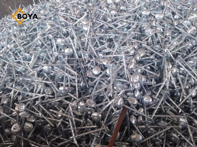 Umbrella Head Roofing Nails/Corrugated Nails Galvanized Twisted Shank with Gasket