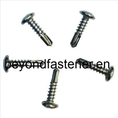 DIN7504 Screw/ Fastener/ Pan Head Screw Pan Framing Head Tapping Screw