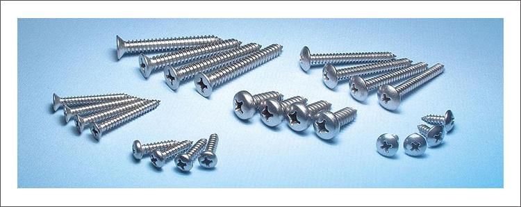 Round Head Screws Phillips Pb Self Tapping Screws