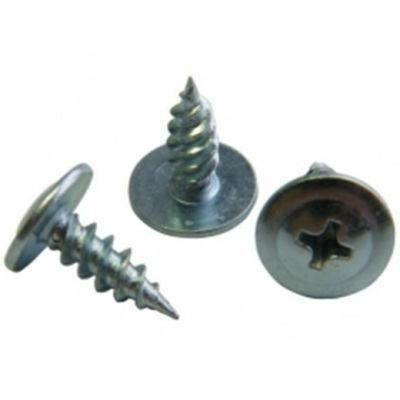 DIN7504-N Truss Head Selfdrilling Screw with Preferential Prcier and High Quality