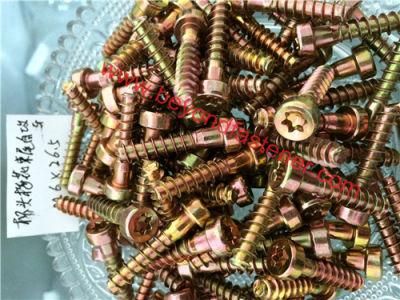 Bimetal Screw / Self Tapping Screw /Torx Screw/ Garden Machinery Screw