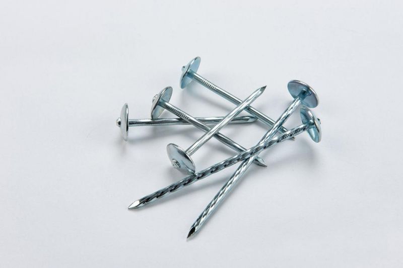China Factory Supply 9gx2" Electro Galvanized Umbrella Roofing Nail with Good Performance