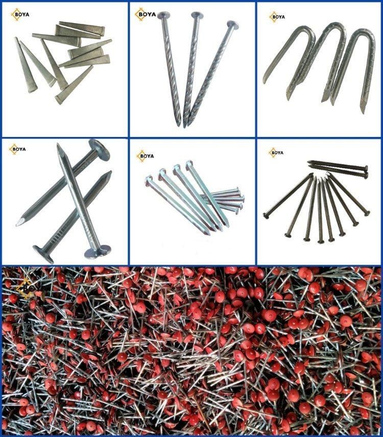 High Quality Yellow Zinc Roofing Nails Umbrella Head for South Africa Market