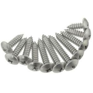 Made in China Stainless Steel Screw Truss Head Self Drilling Screw