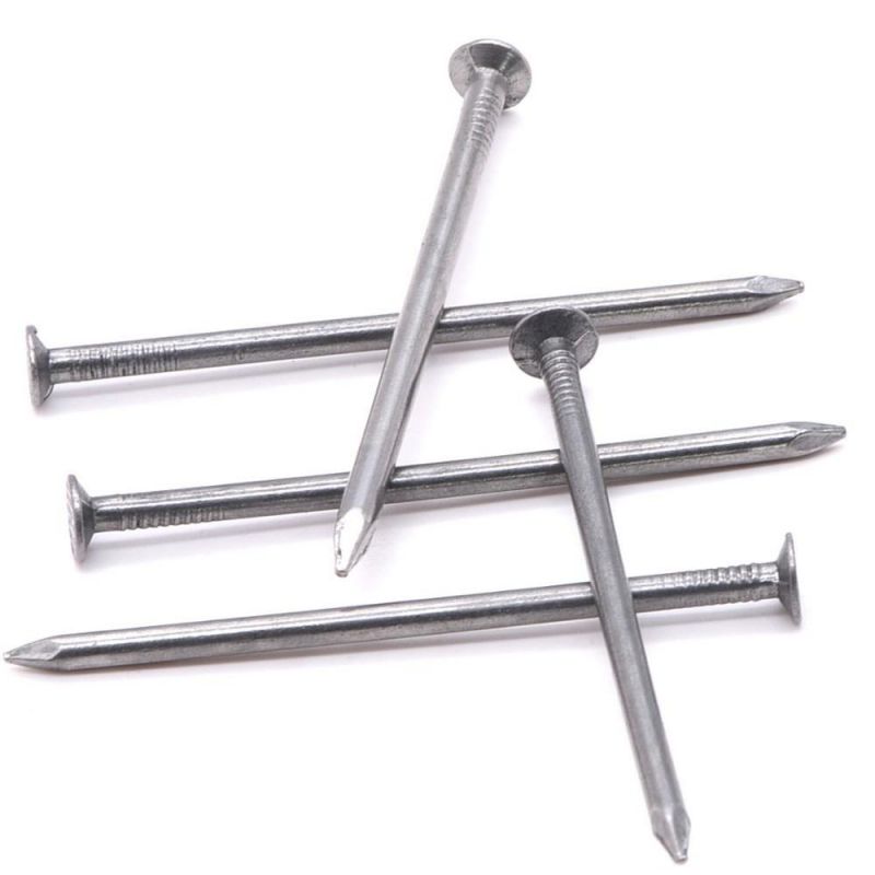 Angola Ethiopia Market/Construction Electro Galvanized Common Wood Wire Nails Nail