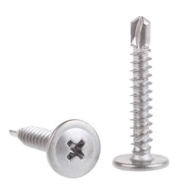 China Supplier Slotted Truss Head Phillips Screws