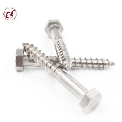 DIN571 Wood Screw Stainless Steel Lag Coach Screw