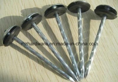 Galvanized Nail Umbrella Head Nail Roofing Nail with Rubber Washer