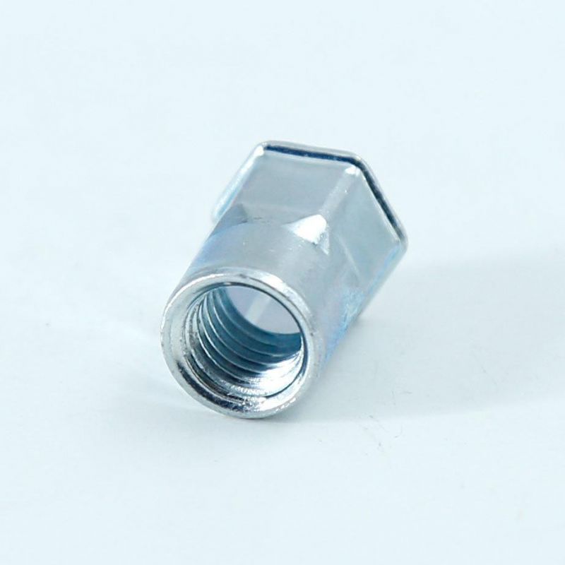 China Factory OEM ODM Fastener Customized Flat Head Hexagon Round Hex Through Hole Brass Stainless Steel Blind Rivet Nut