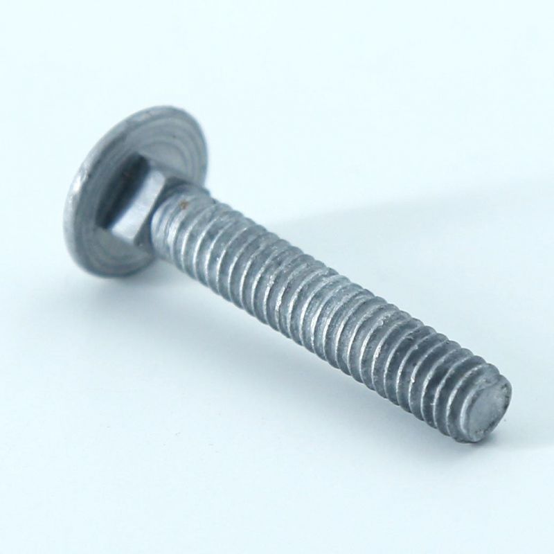 Custom HDG Large Head Carriage Bolts M4 1/2 3/8 M6 45mm 3/8 Stainless Steel Carriage Bolt Mushroom Head Bolt for Fastening