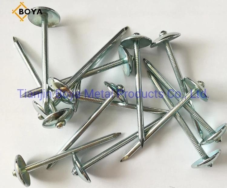 Good Quality Galvanized Umbrealla Head Roofing Nails