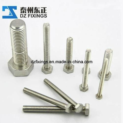 Stainless Steel Hex Nut (DIN934)