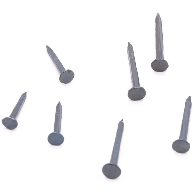 Blue Shoe Tacks Nails Supply for Shoes Low Price