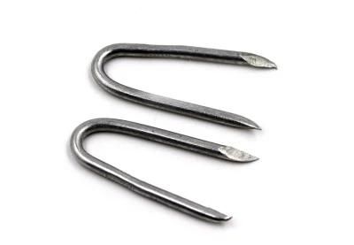 Polished Galvanized Dipped Galvanized Fencing Staples U Type Nail