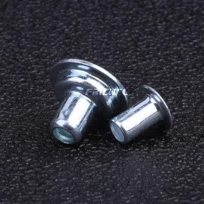 Fricwel Auto Parts Used for Fastening Parts The Hollow Rivet Blind Rivet Copper Rivet