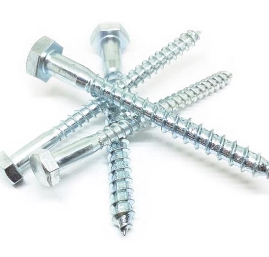 Made in China Good Quality Eg. Q195 DIN571 Wood Screws