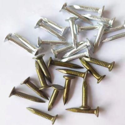 Paint and Galvanized Rust and Corrosion Resistance Roofing Nails Clout Head