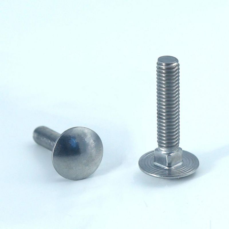 High Strength Stainless Steel Round Head Square Neck Bolt