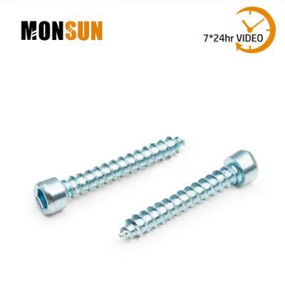 Blue Galvanized Cylindrical Head Socket Head Tapping Screws for Door