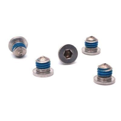 Pancake Head Hexagon Socket Mini Electronic Locking Screw with Nylon Patch