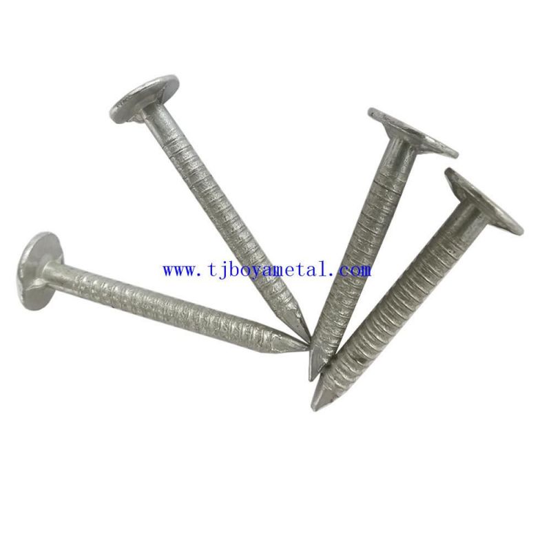 China Factory Premium Quality Building Materials Bright Polished Ring Shank Nail for Construction